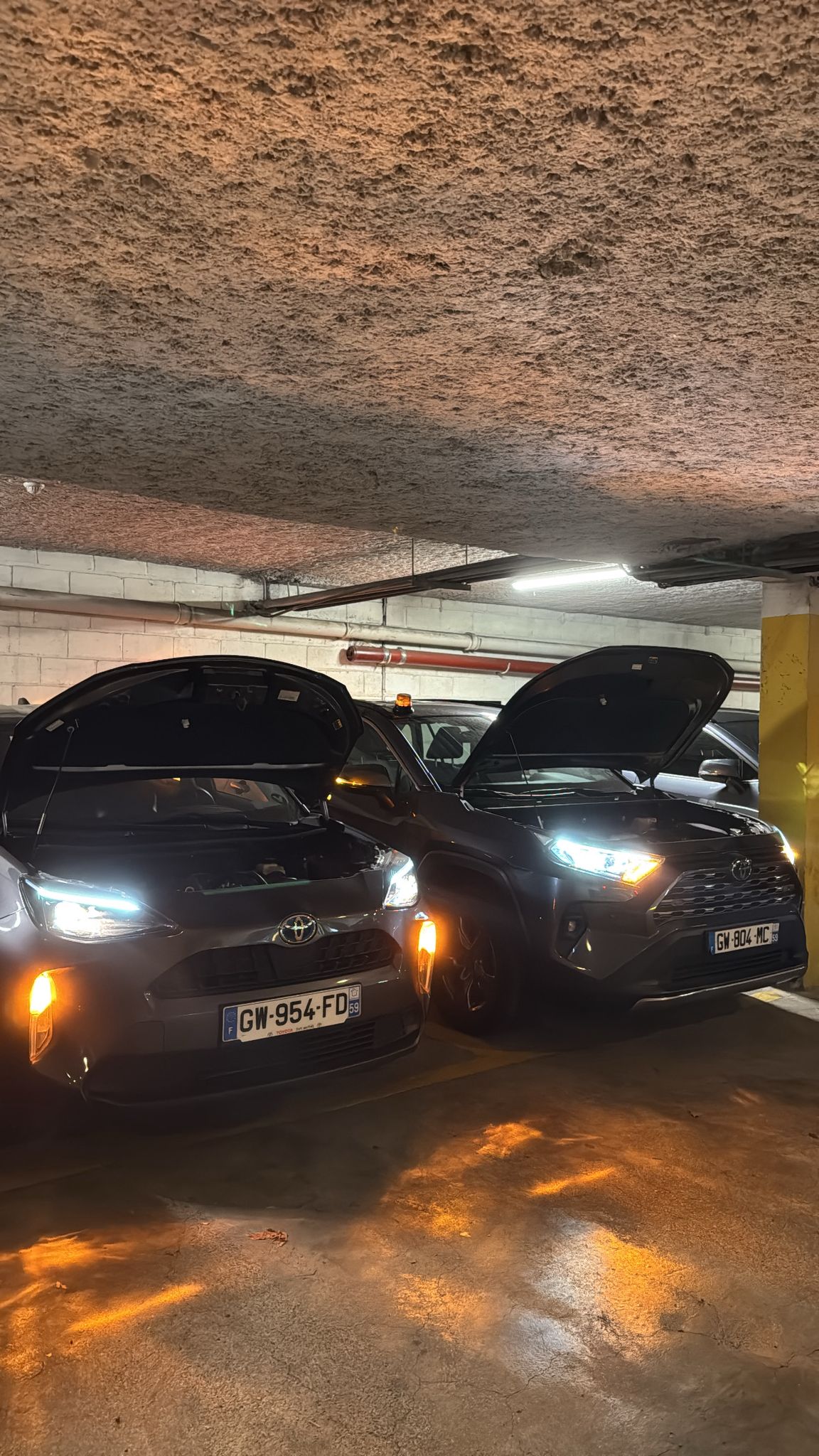 WhatsApp Image 2026-03-02 at 18.37.05 (1)