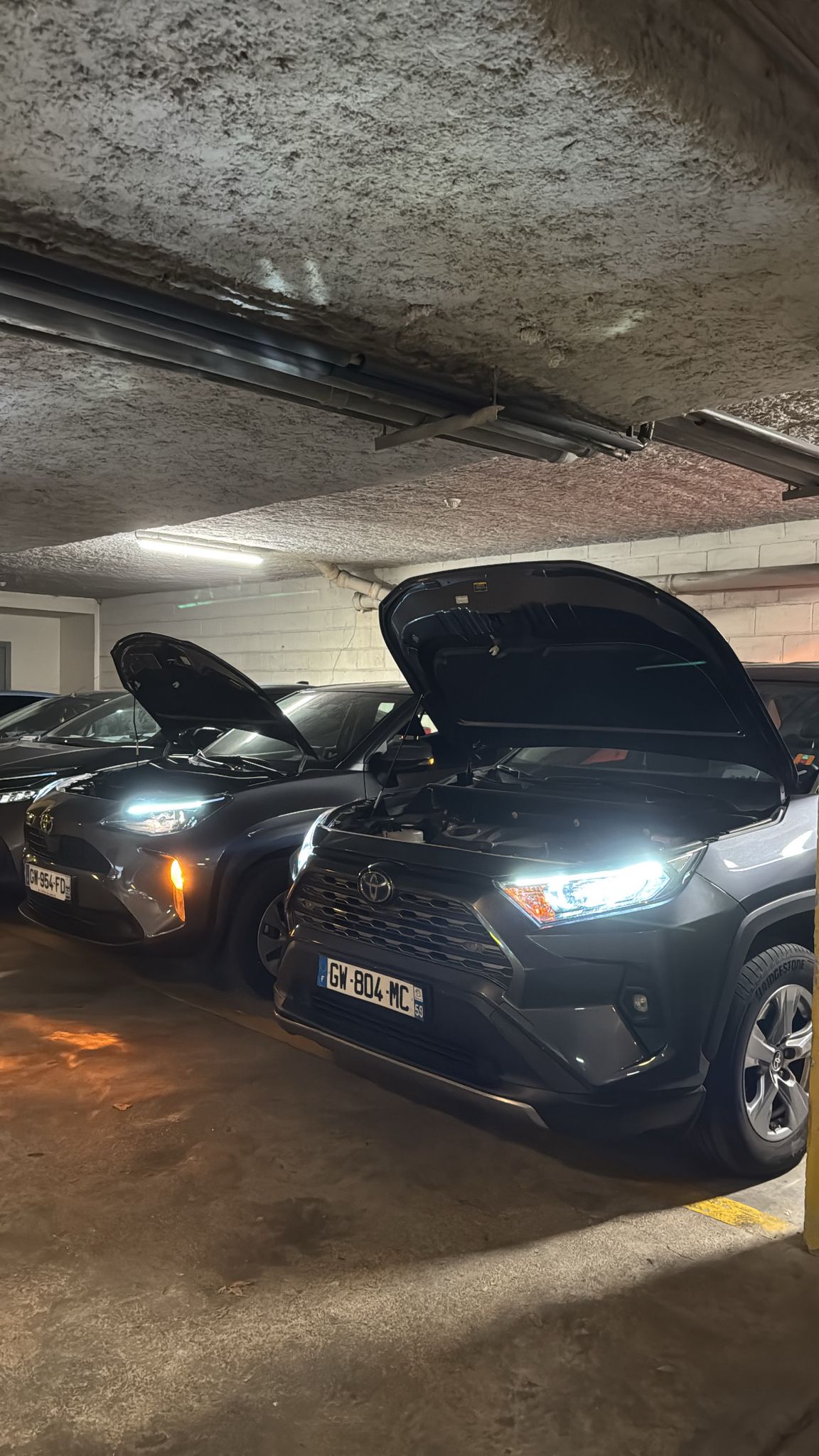 WhatsApp Image 2026-03-02 at 18.37.05 (2)