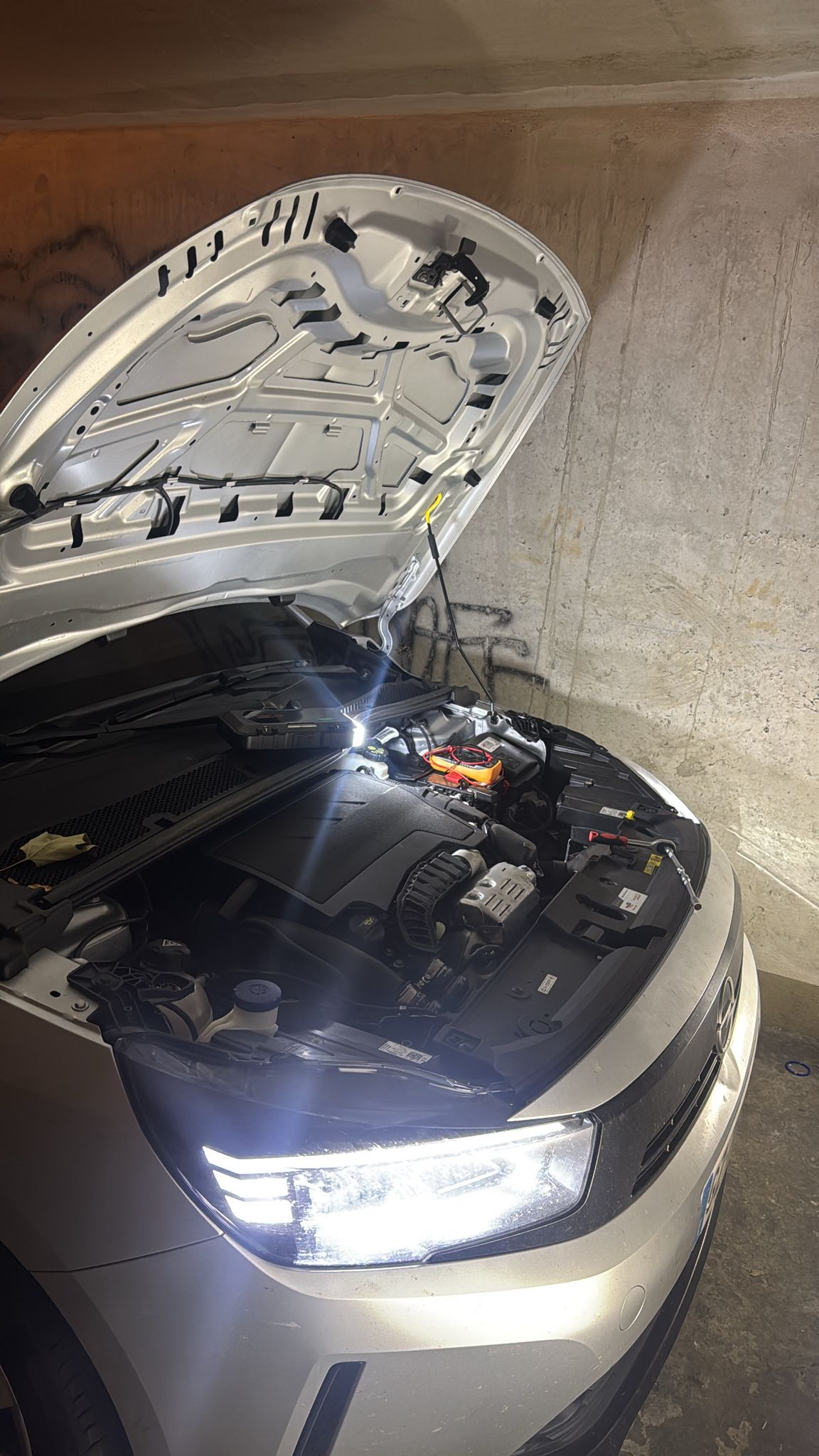 WhatsApp Image 2026-03-02 at 18.37.05 (4)