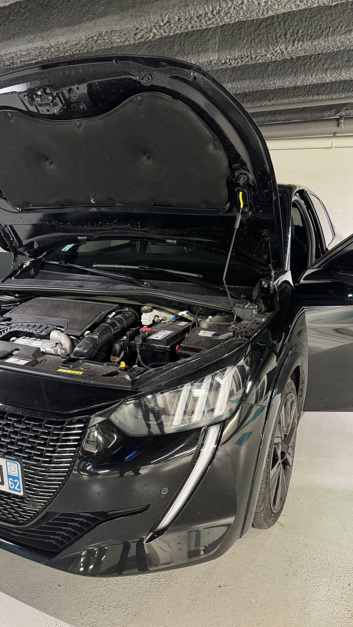 WhatsApp Image 2026-03-02 at 18.37.06 (2)