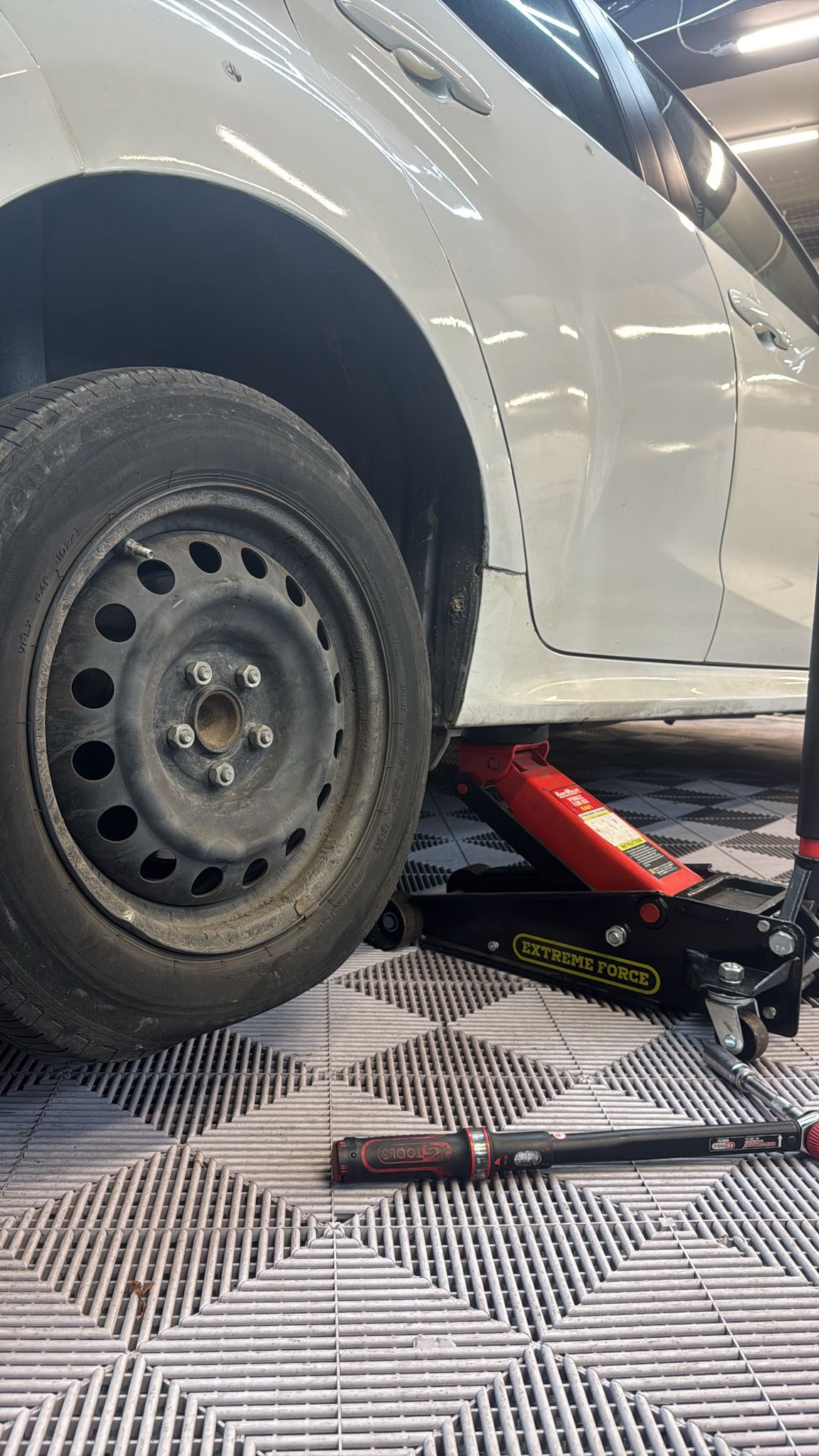 WhatsApp Image 2026-03-03 at 18.34.53